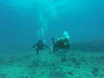 Hawaii Scuba divng 11