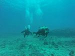 Hawaii Scuba divng 12