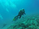 Hawaii Scuba divng 13