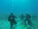 Hawaii Scuba divng 14