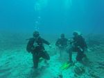 Hawaii Scuba divng 15