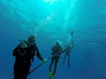 Hawaii Scuba divng 16