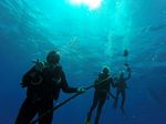 Hawaii Scuba divng 17