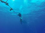 Hawaii Scuba divng 18