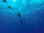 Hawaii Scuba divng 19