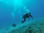 Hawaii Scuba divng 01