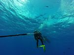 Hawaii Scuba divng 20