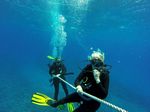 Hawaii Scuba divng 21