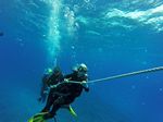 Hawaii Scuba divng 22