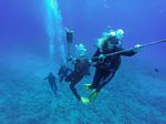 Hawaii Scuba divng 23