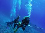 Hawaii Scuba divng 24