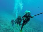 Hawaii Scuba divng 26