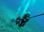 Hawaii Scuba divng 28