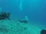 Hawaii Scuba divng 02