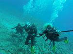 Hawaii Scuba divng 32