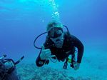 Hawaii Scuba divng 33