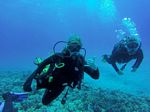 Hawaii Scuba divng 36