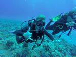 Hawaii Scuba divng 37