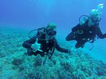 Hawaii Scuba divng 38