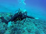 Hawaii Scuba divng 39