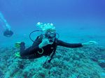 Hawaii Scuba divng 40