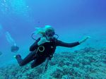 Hawaii Scuba divng 41