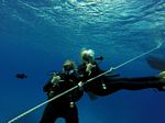 Hawaii Scuba divng 42