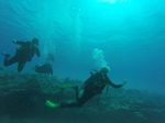 Hawaii Scuba divng 43