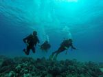 Hawaii Scuba divng 44