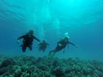 Hawaii Scuba divng 45