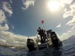 Hawaii Scuba divng 48