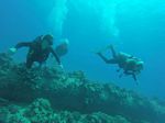 Hawaii Scuba divng 04