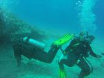 Hawaii Scuba divng 53