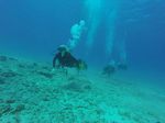 Hawaii Scuba divng 56