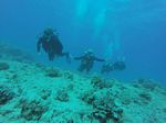 Hawaii Scuba divng 58