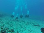 Hawaii Scuba divng 59