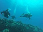 Hawaii Scuba divng 05