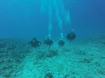 Hawaii Scuba divng 61