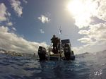 Hawaii Scuba divng 63