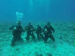 Hawaii Scuba divng 65