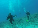 Hawaii Scuba divng 67