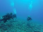 Hawaii Scuba divng 06