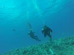 Hawaii Scuba divng 70