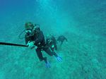 Hawaii Scuba divng 72