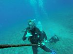 Hawaii Scuba divng 73