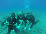 Hawaii Scuba divng 75