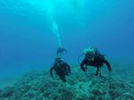 Hawaii Scuba divng 78