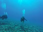 Hawaii Scuba divng 07