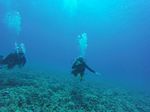 Hawaii Scuba divng 07