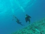 Hawaii Scuba divng 80